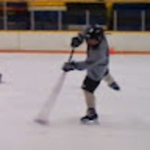 Meet your Posher, Hockeyfan1113